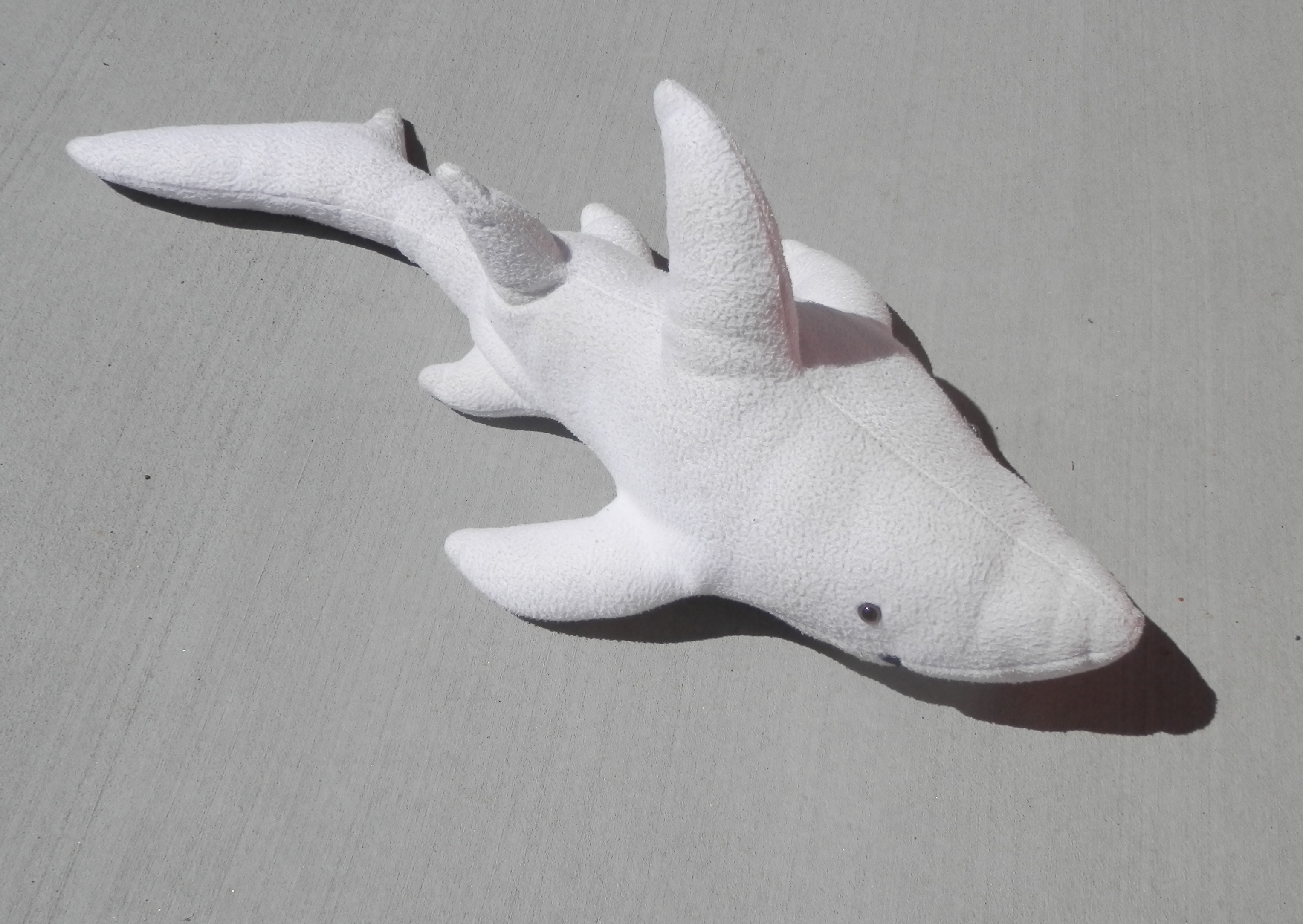 shark